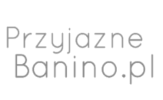 ithex klient 11