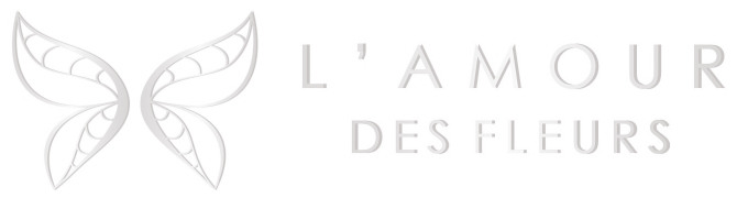 ithex klient perfect construction logo